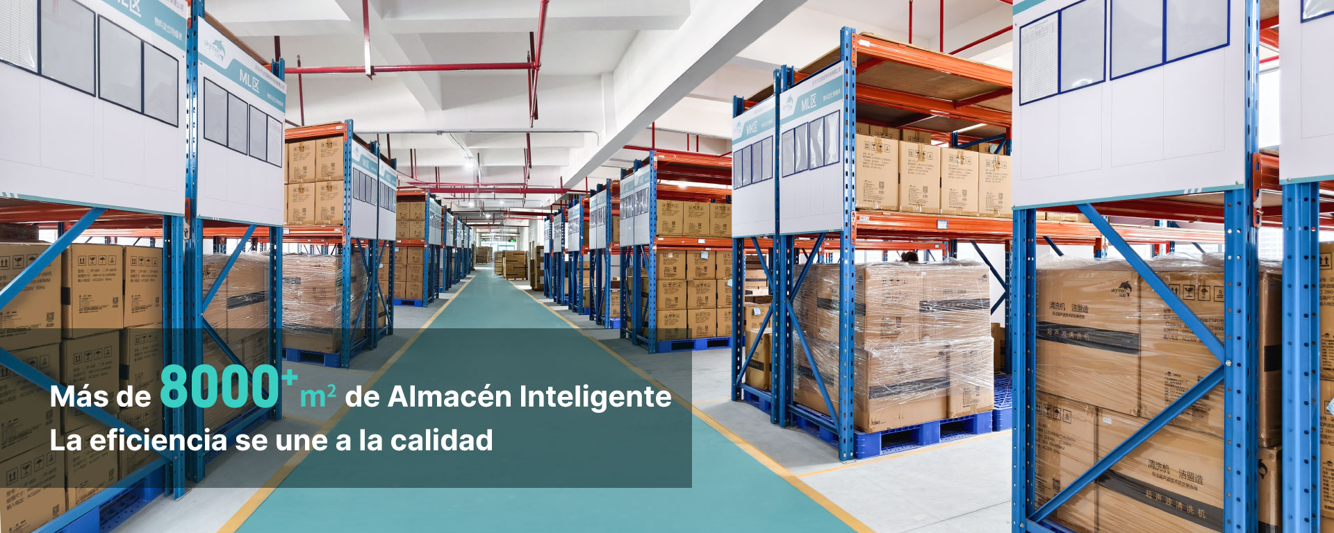 skymen-almacen-inteligente-limpiador-ultrasonico